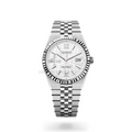 Land Mod Silver - White