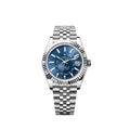 Seikodweller - Royal Blue